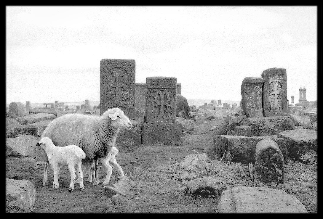 Noraduz cemetery, Armenia, 1999 Noraduz cemetery, Armenia, 1999